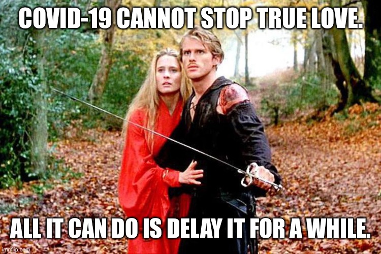COVID-19 cannot stop true love | COVID-19 CANNOT STOP TRUE LOVE. ALL IT CAN DO IS DELAY IT FOR A WHILE. | image tagged in princess bride,covid-19 | made w/ Imgflip meme maker
