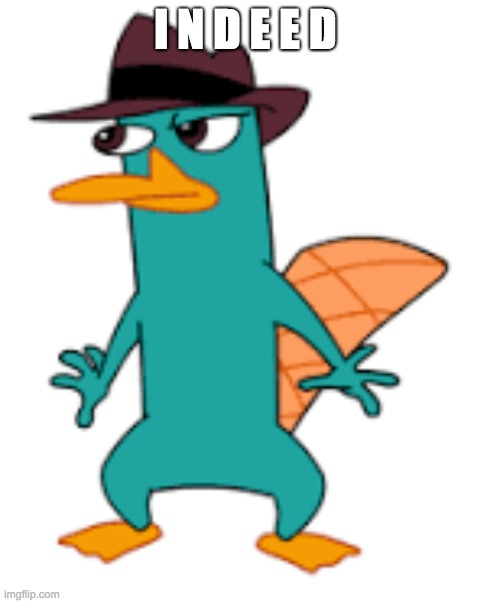 I N D E E D | image tagged in perry | made w/ Imgflip meme maker