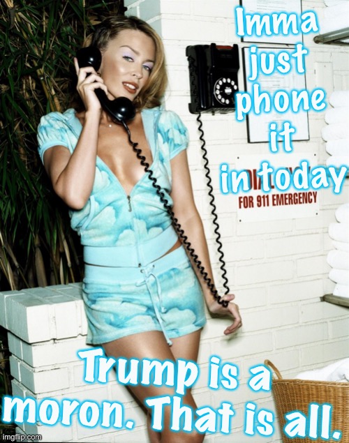 I was working on the house all day so enjoy this very low-quality meme. | Imma just phone it in today; Trump is a moron. That is all. | image tagged in kylie phone,politics lol,trump is a moron,donald trump is an idiot,phone,telephone girl | made w/ Imgflip meme maker