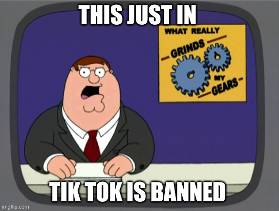 tik tok | THIS JUST IN; TIK TOK IS BANNED | image tagged in memes,peter griffin news | made w/ Imgflip meme maker