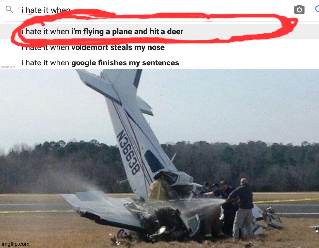 I hate it when... Plane? Deer?!!! | image tagged in plane crash,memes,funny,oof,that hurts,deer | made w/ Imgflip meme maker