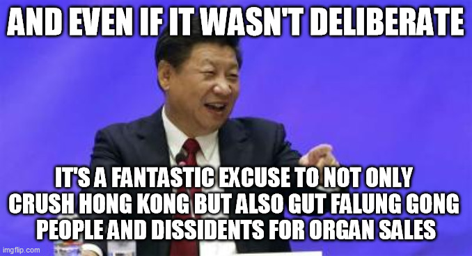 Xi Jinping Laughing | AND EVEN IF IT WASN'T DELIBERATE IT'S A FANTASTIC EXCUSE TO NOT ONLY 
CRUSH HONG KONG BUT ALSO GUT FALUNG GONG 
PEOPLE AND DISSIDENTS FOR OR | image tagged in xi jinping laughing | made w/ Imgflip meme maker