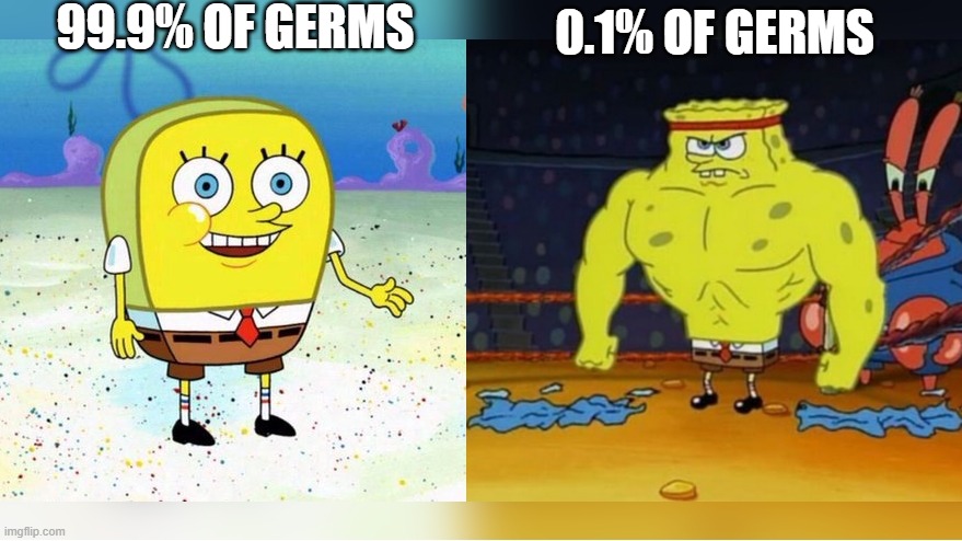 Increasingly Buff Spongebob | 99.9% OF GERMS; 0.1% OF GERMS | image tagged in increasingly buff spongebob | made w/ Imgflip meme maker