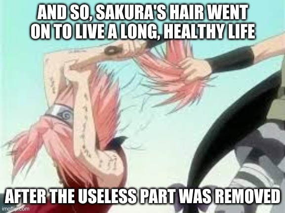 useless sakura | AND SO, SAKURA'S HAIR WENT ON TO LIVE A LONG, HEALTHY LIFE; AFTER THE USELESS PART WAS REMOVED | image tagged in sakura,useless,funny meme,naruto | made w/ Imgflip meme maker
