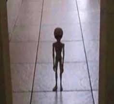 The alien I stole from Area 51 telling me... Blank Meme Template