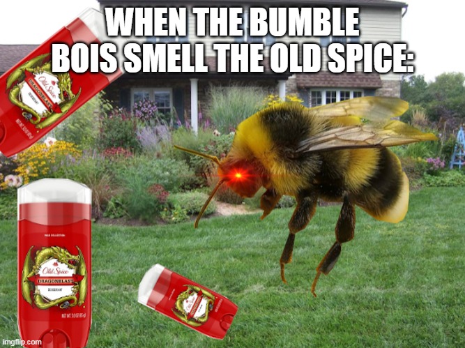 T̷̢̛͎͈̫̻̖̜̯̳̜͚̗̋̀̕h̵̛͔̭̪͈̰͔͚͆͜e̷̝̳̩̘̿̉͂͒̏̿̎̕ ̴̢͇͈̞̫̹̼̜̞̗͇͒̈̐̅̎̀̉͆b̸̰͖̱̞͇̪̥̖̰̭̼̈̀̾ó̶͇̪̹͎͝m̷̧̛͔̯̻̖̌̐͋́̊̒̒̿̈́̾b̸̘̝̱̗̙̤́̈̽̃̓͗̍̈́͌̈́̒̓͜ | WHEN THE BUMBLE BOIS SMELL THE OLD SPICE: | image tagged in meme,bombus,bumblebee,bee,old spice,deodorant | made w/ Imgflip meme maker