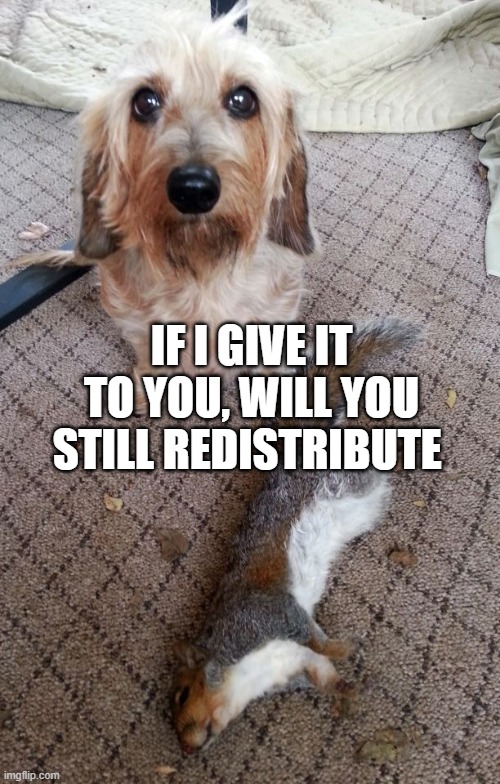 A gift. | IF I GIVE IT TO YOU, WILL YOU STILL REDISTRIBUTE | image tagged in a gift | made w/ Imgflip meme maker