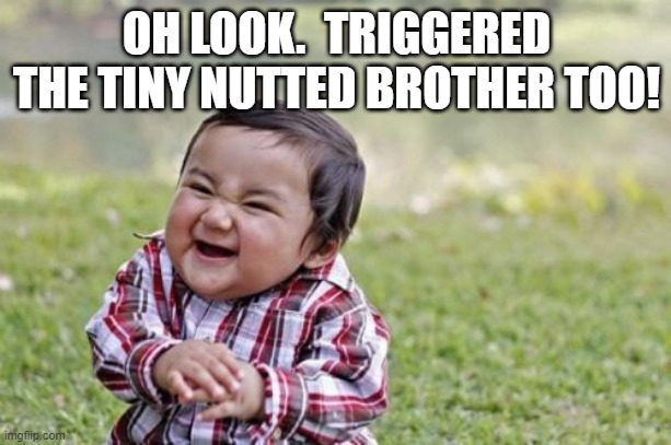 Evil Toddler Meme | OH LOOK.  TRIGGERED THE TINY NUTTED BROTHER TOO! | image tagged in memes,evil toddler | made w/ Imgflip meme maker