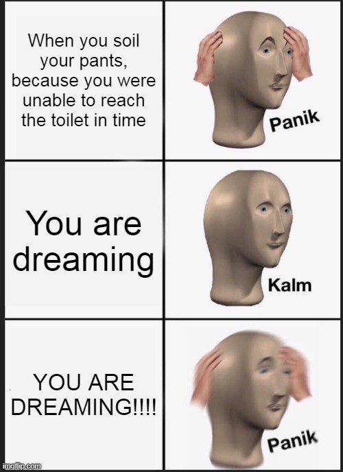 Panik Kalm Panik Meme | When you soil your pants, because you were unable to reach the toilet in time; You are dreaming; YOU ARE DREAMING!!!! | image tagged in memes,panik kalm panik | made w/ Imgflip meme maker