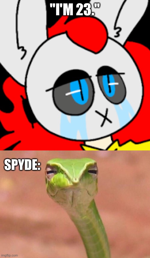 "I'M 23."; SPYDE: | image tagged in skeptical snake,oc | made w/ Imgflip meme maker