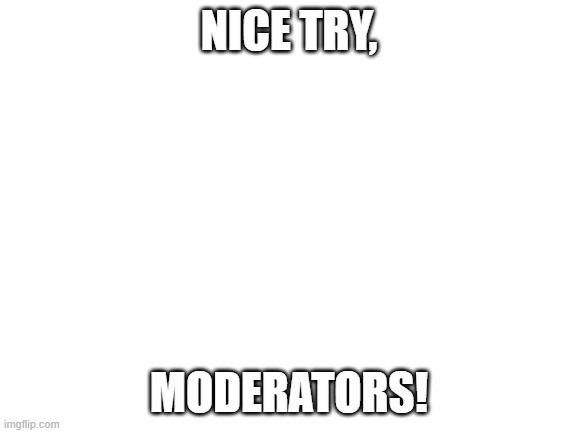 NICE TRY! | NICE TRY, MODERATORS! | image tagged in blank white template,memes,funny | made w/ Imgflip meme maker