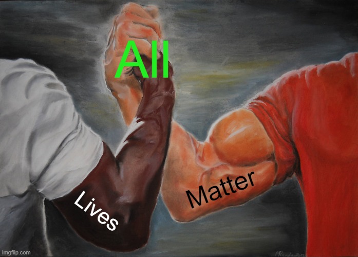 All Lives Matter | All; Matter; Lives | image tagged in memes,epic handshake,black lives matter,all lives matter,black panther,white privilege | made w/ Imgflip meme maker