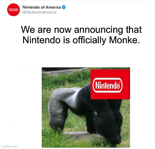 We are now announcing that Nintendo is officially Monke. | image tagged in nintendo | made w/ Imgflip meme maker
