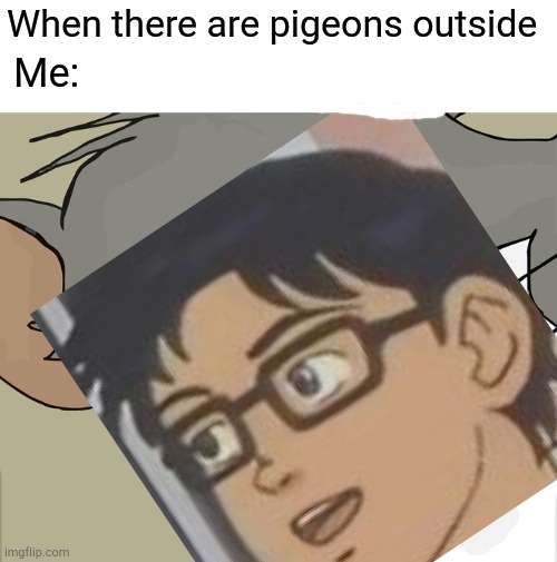 When there are pigeons outside; Me: | image tagged in memes,unsettled tom,is this a pigeon | made w/ Imgflip meme maker