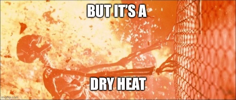Sarah Connor Fence Nuclear Fire Death | BUT IT’S A DRY HEAT | image tagged in sarah connor fence nuclear fire death | made w/ Imgflip meme maker