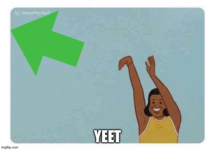 mom throwing baby | YEET | image tagged in mom throwing baby | made w/ Imgflip meme maker
