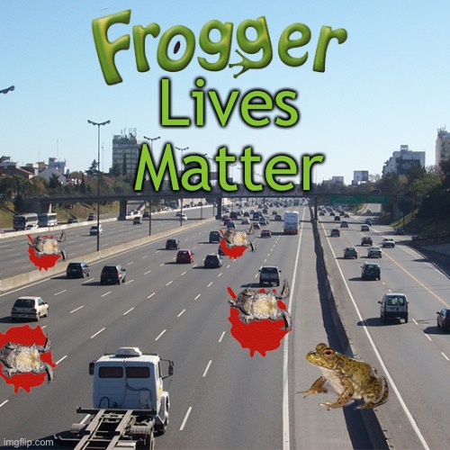 Ribbit | Lives Matter | image tagged in froggy frogger hippos video game | made w/ Imgflip meme maker