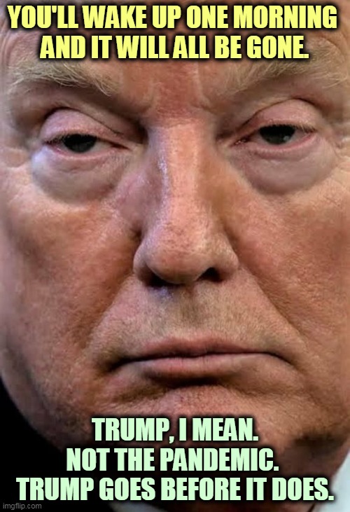 A face that inspires confidence. | YOU'LL WAKE UP ONE MORNING 
AND IT WILL ALL BE GONE. TRUMP, I MEAN. NOT THE PANDEMIC. 
TRUMP GOES BEFORE IT DOES. | image tagged in trump dilated drug drug addict woozy zonked,trump,you're fired,pandemic,coronavirus,covid-19 | made w/ Imgflip meme maker
