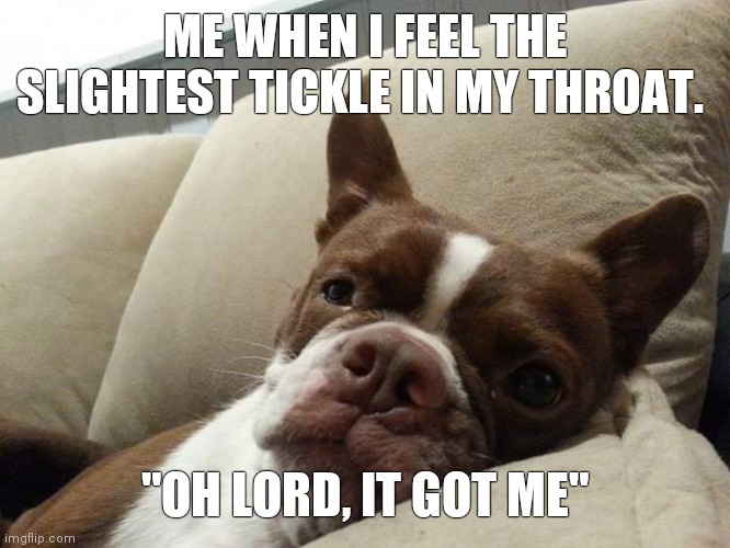 Kermit | ME WHEN I FEEL THE SLIGHTEST TICKLE IN MY THROAT. "OH LORD, IT GOT ME" | image tagged in covid19,dogs,boston | made w/ Imgflip meme maker