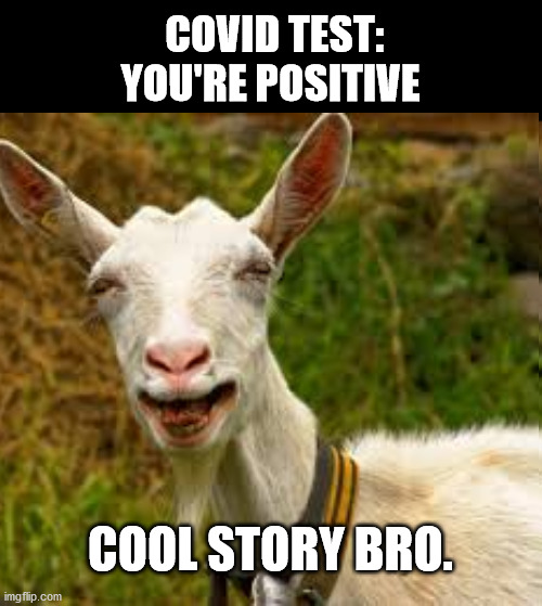 Covid tests are so accurate even goats and fruit have tested positive |  COVID TEST: YOU'RE POSITIVE; COOL STORY BRO. | image tagged in covid19,coronahoax,scamdemic,covidiots,plandemic,fake news | made w/ Imgflip meme maker