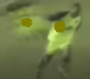 How about NO Blank Meme Template