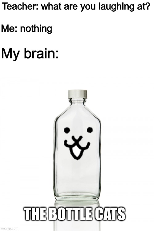 tHe bOtTle cAts | Teacher: what are you laughing at? Me: nothing; My brain:; THE BOTTLE CATS | image tagged in memes,funny,cats,bottle,reference,teacher what are you laughing at | made w/ Imgflip meme maker