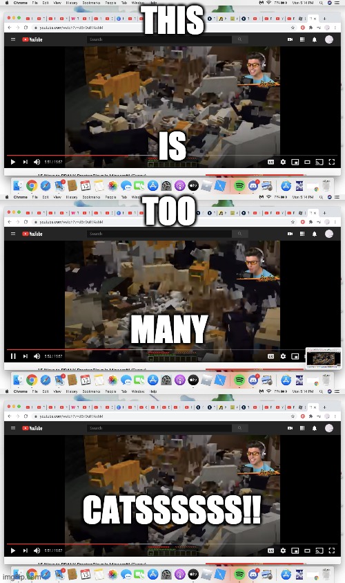 THIS IS TOO MANY CATS! | THIS; IS; TOO; MANY; CATSSSSSS!! | image tagged in prestonplayz,cats,minecraft,minecraft cats | made w/ Imgflip meme maker