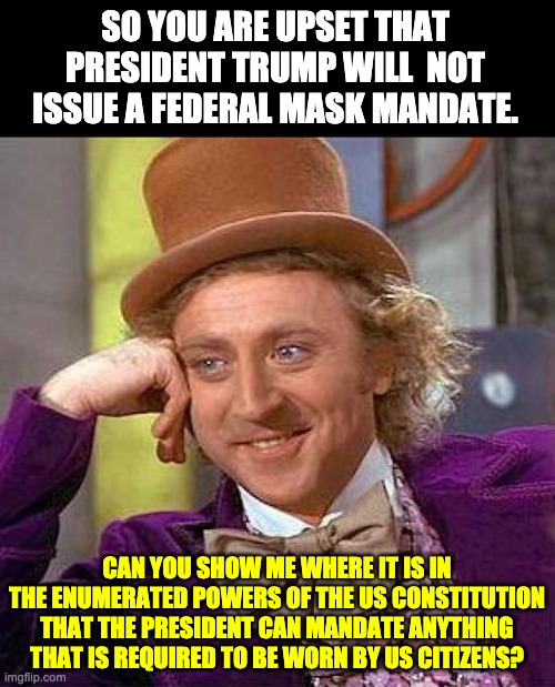 Nobody seems to read the constitution any more | SO YOU ARE UPSET THAT PRESIDENT TRUMP WILL  NOT ISSUE A FEDERAL MASK MANDATE. CAN YOU SHOW ME WHERE IT IS IN THE ENUMERATED POWERS OF THE US CONSTITUTION THAT THE PRESIDENT CAN MANDATE ANYTHING THAT IS REQUIRED TO BE WORN BY US CITIZENS? | image tagged in memes,creepy condescending wonka | made w/ Imgflip meme maker