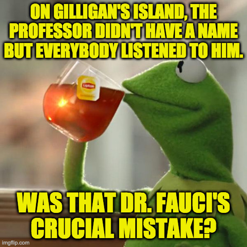 I originally posted this to The_Think_Tank and it was rejected as being another Covid-19 meme.  But I think it's jealousy  ( : | ON GILLIGAN'S ISLAND, THE PROFESSOR DIDN'T HAVE A NAME BUT EVERYBODY LISTENED TO HIM. WAS THAT DR. FAUCI'S
CRUCIAL MISTAKE? | image tagged in memes,but that's none of my business,kermit the frog,fauci,covid-19,gilligan's island | made w/ Imgflip meme maker