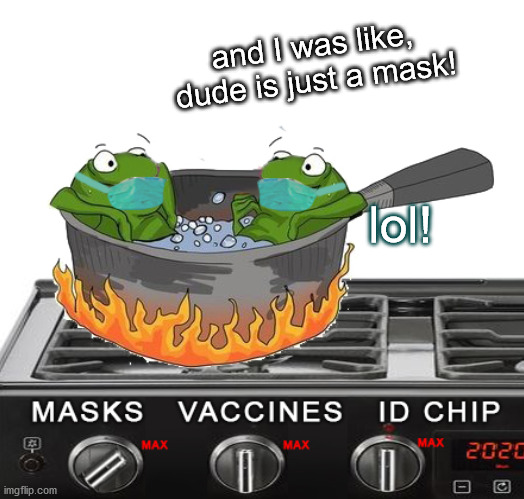 The boiling frogs! |  and I was like, dude is just a mask! lol! | image tagged in new normal,face mask,coronavirus,coronahoax,covid scam | made w/ Imgflip meme maker