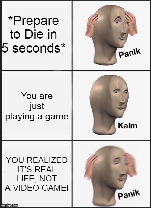 Poor Meme Man | *Prepare to Die in 5 seconds*; You are just playing a game; YOU REALIZED IT'S REAL LIFE, NOT A VIDEO GAME! | image tagged in memes,panik kalm panik | made w/ Imgflip meme maker