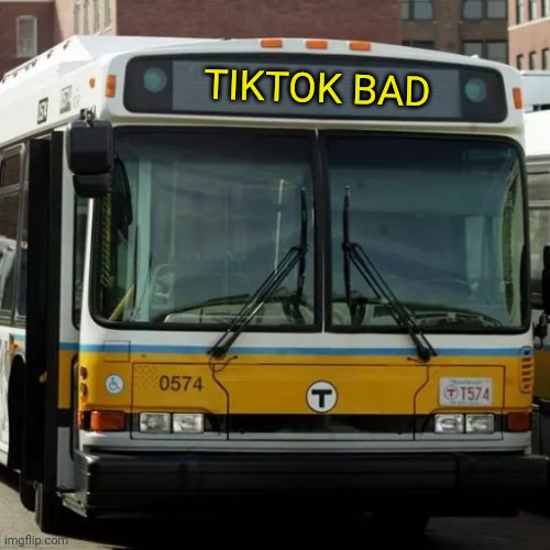 *MARKED* | TIKTOK BAD | image tagged in bus with custom headsign,use,my,template,please,dogs | made w/ Imgflip meme maker
