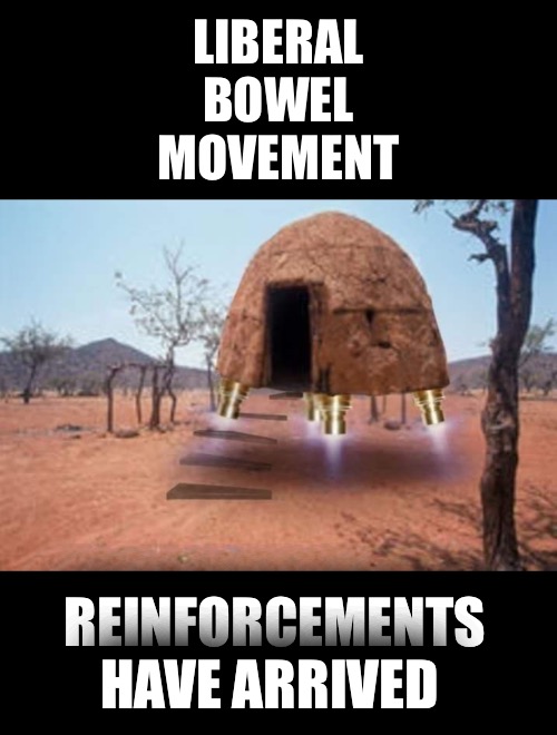 LBM’s Matter | LIBERAL BOWEL MOVEMENT; REINFORCEMENTS HAVE ARRIVED | image tagged in liberal,bowel movement,subjectmatters | made w/ Imgflip meme maker