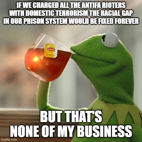 Lock up all the lil white thugs... | IF WE CHARGED ALL THE ANTIFA RIOTERS WITH DOMESTIC TERRORISM THE RACIAL GAP IN OUR PRISON SYSTEM WOULD BE FIXED FOREVER; BUT THAT'S NONE OF MY BUSINESS | image tagged in memes,but that's none of my business,kermit the frog,politics | made w/ Imgflip meme maker