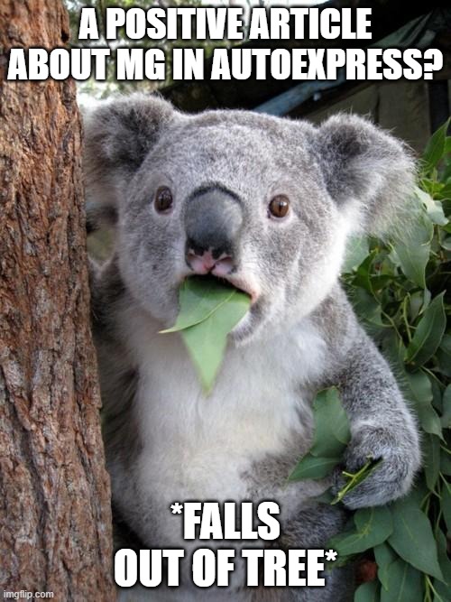 AutoExpress positive about MG shock | A POSITIVE ARTICLE ABOUT MG IN AUTOEXPRESS? *FALLS OUT OF TREE* | image tagged in memes,surprised koala | made w/ Imgflip meme maker