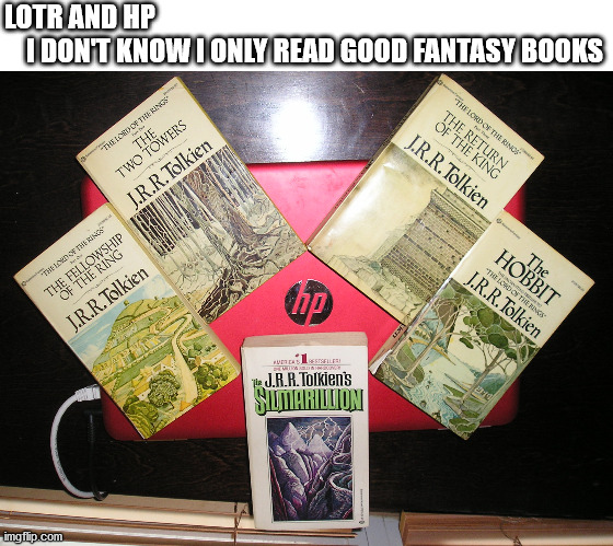 But if you like Harry Potter that's okay... |  LOTR AND HP
    I DON'T KNOW I ONLY READ GOOD FANTASY BOOKS | image tagged in lotr | made w/ Imgflip meme maker