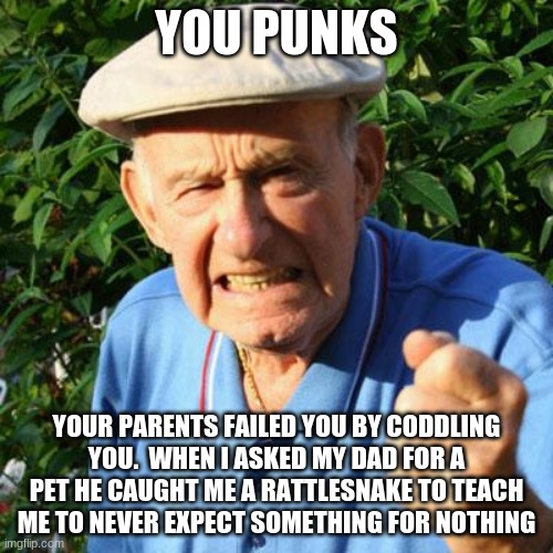 Parenting doesn't have to be hard but it helps | YOU PUNKS; YOUR PARENTS FAILED YOU BY CODDLING YOU.  WHEN I ASKED MY DAD FOR A PET HE CAUGHT ME A RATTLESNAKE TO TEACH ME TO NEVER EXPECT SOMETHING FOR NOTHING | image tagged in angry old man,parenting doesn't have to be hard but it helps,be a parent not a friend,work for it,you punks,parenting level expe | made w/ Imgflip meme maker