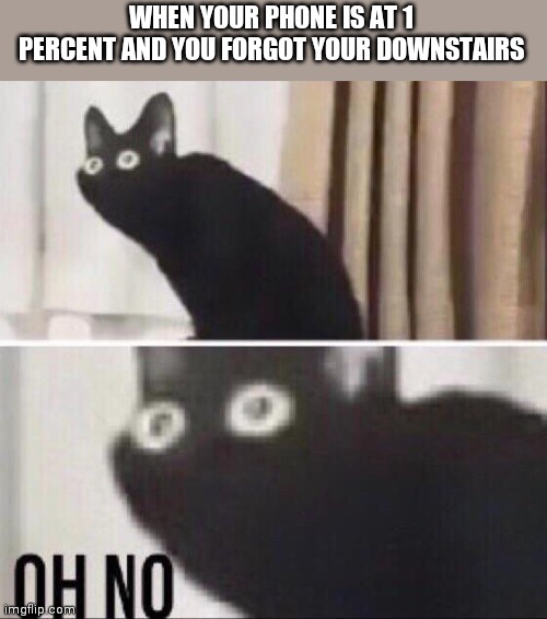 Oh no cat | WHEN YOUR PHONE IS AT 1 PERCENT AND YOU FORGOT YOUR DOWNSTAIRS | image tagged in oh no cat | made w/ Imgflip meme maker