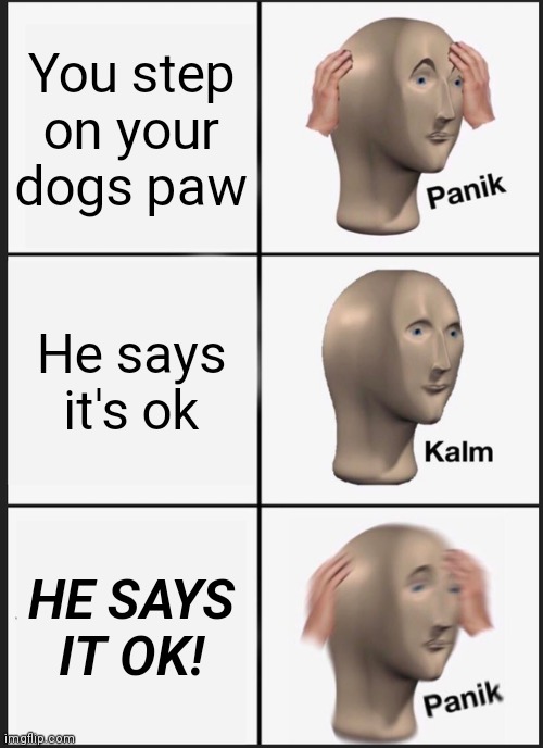 Panik Kalm Panik | You step on your dogs paw; He says it's ok; HE SAYS IT OK! | image tagged in memes,panik kalm panik | made w/ Imgflip meme maker