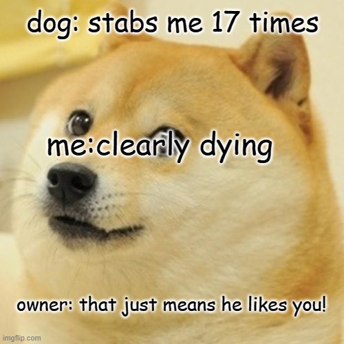 Doge Meme | dog: stabs me 17 times; me:clearly dying; owner: that just means he likes you! | image tagged in memes,doge | made w/ Imgflip meme maker