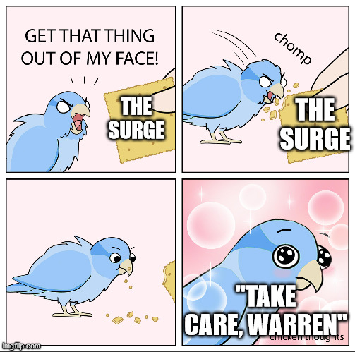 ok, the game "the surge" is better than i think | THE SURGE; THE SURGE; "TAKE CARE, WARREN" | image tagged in bird cracker | made w/ Imgflip meme maker