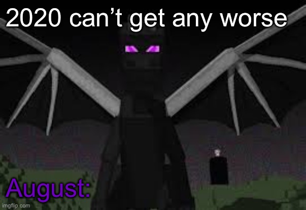 Ender dragon | 2020 can’t get any worse; August: | image tagged in ender dragon,minecraft,2020,memes | made w/ Imgflip meme maker