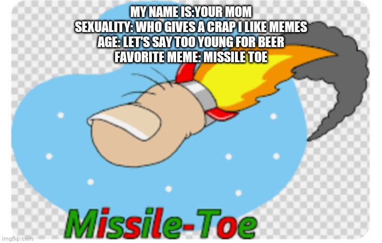Yeet. |  MY NAME IS:YOUR MOM
SEXUALITY: WHO GIVES A CRAP I LIKE MEMES
AGE: LET'S SAY TOO YOUNG FOR BEER
FAVORITE MEME: MISSILE TOE | image tagged in missile toe | made w/ Imgflip meme maker