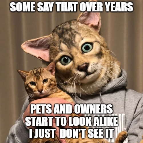 Twins | SOME SAY THAT OVER YEARS; PETS AND OWNERS
START TO LOOK ALIKE
I JUST  DON'T SEE IT | image tagged in cats,memes,fun,funny,funny cats,funny memes | made w/ Imgflip meme maker