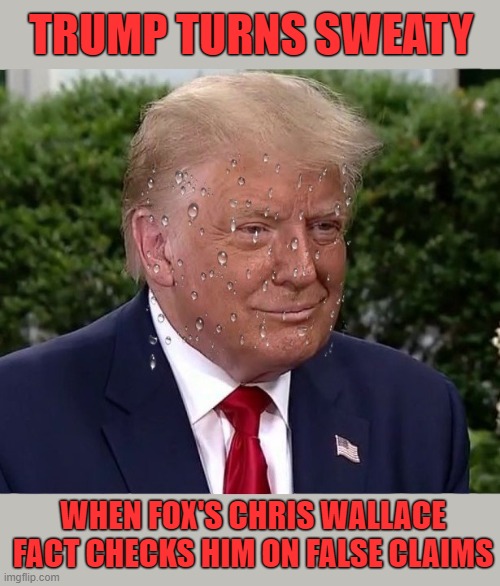 Trump's sweaty Fox News interview shows his 2020 chances melting away | TRUMP TURNS SWEATY; WHEN FOX'S CHRIS WALLACE
FACT CHECKS HIM ON FALSE CLAIMS | image tagged in donald trump you're fired,fox news,sweating bullets,interview,election 2020 | made w/ Imgflip meme maker
