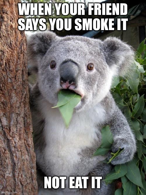 Surprised Koala Meme | WHEN YOUR FRIEND SAYS YOU SMOKE IT; NOT EAT IT | image tagged in memes,surprised koala | made w/ Imgflip meme maker
