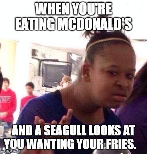 Rats with wings they are! | WHEN YOU'RE EATING MCDONALD'S; AND A SEAGULL LOOKS AT YOU WANTING YOUR FRIES. | image tagged in memes,black girl wat,mcdonalds,fast food,french fries | made w/ Imgflip meme maker