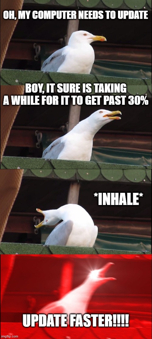 Update...30% | OH, MY COMPUTER NEEDS TO UPDATE; BOY, IT SURE IS TAKING A WHILE FOR IT TO GET PAST 30%; *INHALE*; UPDATE FASTER!!!! | image tagged in memes,inhaling seagull | made w/ Imgflip meme maker