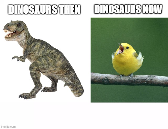 DINOSAURS THEN; DINOSAURS NOW | image tagged in buff doge vs cheems,birb,dinosaur,t-rex,evolution | made w/ Imgflip meme maker
