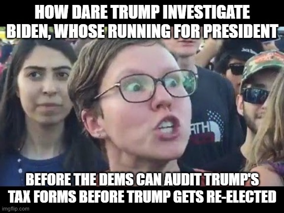Angry sjw | HOW DARE TRUMP INVESTIGATE BIDEN, WHOSE RUNNING FOR PRESIDENT; BEFORE THE DEMS CAN AUDIT TRUMP'S TAX FORMS BEFORE TRUMP GETS RE-ELECTED | image tagged in angry sjw | made w/ Imgflip meme maker